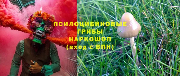гидропоника Вязьма