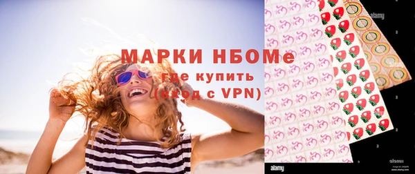 гашик Вязники